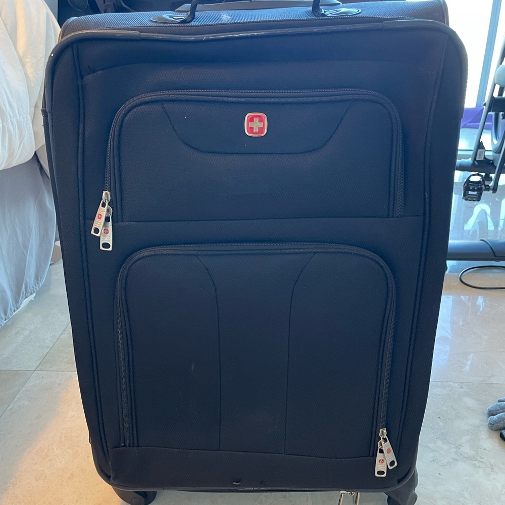 Swiss alps medium luggage